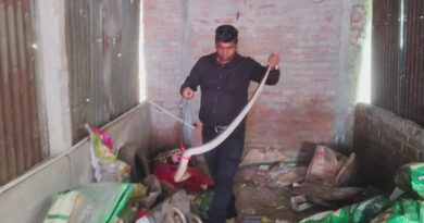 পরিত্যক্ত বাড়ি থেকে বিশাল গোখরো উদ্ধার, সর্পদংশন ঘিরে বাড়ছে উদ্বেগ!