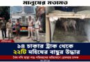 ১৪ চাকার ট্রাকে ২২ মহিষের বাছুর, ফাঁসিদেওয়ায় ধৃত চালক!
