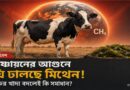 গরুর ঢেকুরে মিথেন:জলবায়ুর বড় হুমকি ,নির্গমন কমাতে নতুন পথ খুঁজছে দক্ষিণ কোরিয়া!