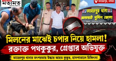 মিলনরত পথকুকুরকে চপারের কোপ!রক্তাক্ত প্রাণী উদ্ধার,গ্রেপ্তার অভিযুক্ত মানিক