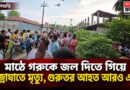 মাঠে গরুকে জল দিতে গিয়ে বজ্রাঘাতে মৃত্যু মহিলার,গুরুতর আহত আরও এক