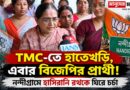 তৃণমূলের পঞ্চায়েত রাজনীতি থেকে নন্দীগ্রাম বিধানসভার বিজেপি প্রার্থী- হাসিরানির নতুন অধ্যায়