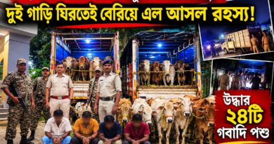 পুলিশের নজরে পড়তেই থামল দুই গাড়ি!ভিতরে কী ছিল?আটক চালক ও সহকারী