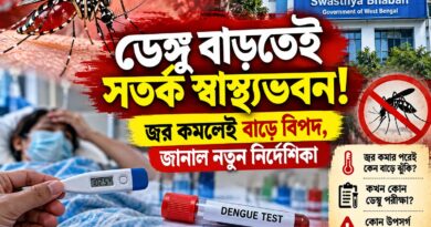 ডেঙ্গুর ‘ক্রিটিক্যাল ফেজ’ জ্বরের পরেই! কোন লক্ষণে ছুটবেন হাসপাতালে? জানাল স্বাস্থ্যভবন