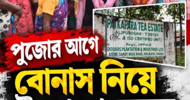 পুজোর আগে বোনাস নিয়ে উত্তপ্ত উত্তরবঙ্গের চা-বলয়,কর্মবিরতিতে পাইটকা পাড়ার ১৬০০ শ্রমিক