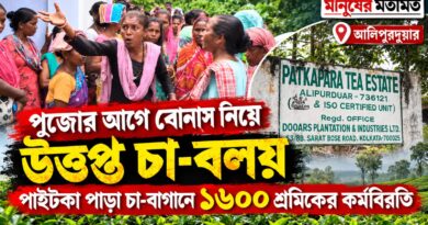 পুজোর আগে বোনাস নিয়ে উত্তপ্ত উত্তরবঙ্গের চা-বলয়,কর্মবিরতিতে পাইটকা পাড়ার ১৬০০ শ্রমিক