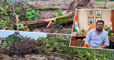 বনদপ্তরের অনুমতি ছাড়া গাছ কাটা?গ্রেপ্তার ডিমা চা বাগানের ম্যানেজার!